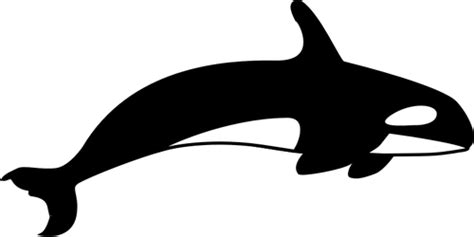 Killer Whale Silhouette at GetDrawings | Free download