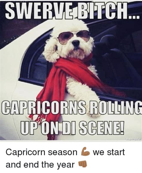 20 Best Memes About Being A Capricorn | SayingImages.com Capricorn Meme, Capricorn Season ...