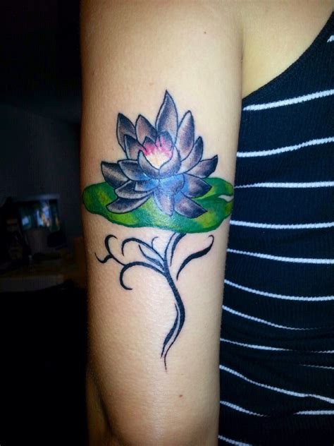 Beauty Emerging: Lotus Blossom Breaking Free