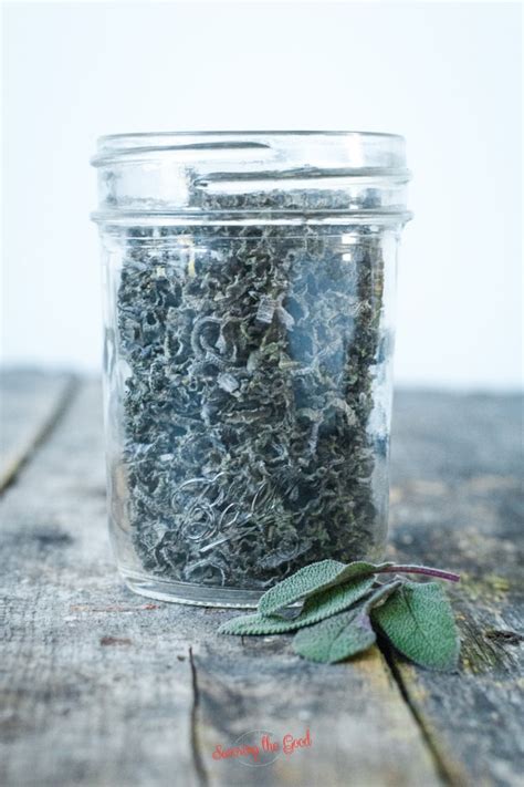 Ways To Dry Sage Leaves - Dehydrator, Microwave, Air-Dry, Oven