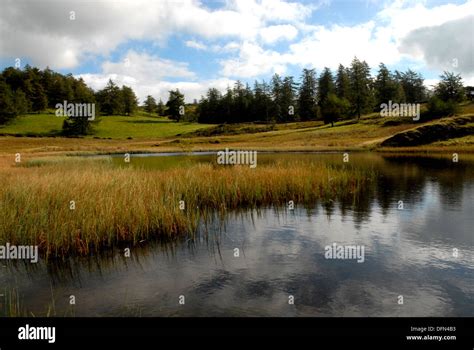 Lake District Landscapes Stock Photo - Alamy