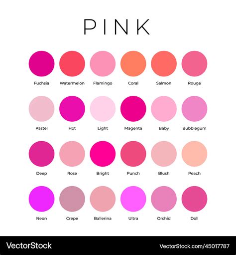 Pink color shades swatches palette with names Vector Image