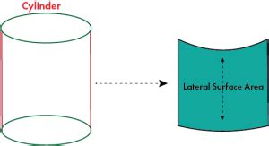 Lateral Surface Area of a Cylinder (Definition, Properties, Examples ...