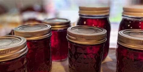 Muscadine Jelly Recipe - Recipes.net