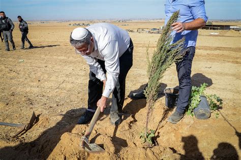 Why tree planting in the Negev sparked protests, riots and a coalition crisis | The Times of Israel