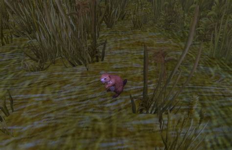 Prairie Dog - NPC - World of Warcraft