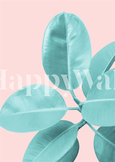 Ficus Elastica Pastel Blush 1 Wallpaper | Happywall