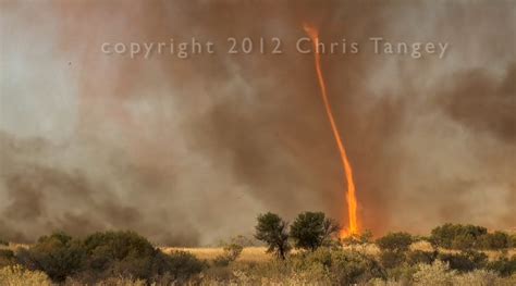 Fire tornadoes: a rare weather phenomenon - Australian Geographic