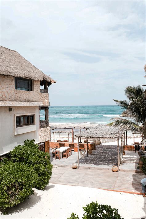 an outdoor dining area with thatched roof and palm trees on the beach next to the ocean