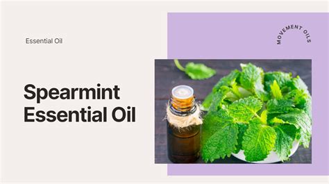 Spearmint Oil: Uses & Benefits - Movement Oils