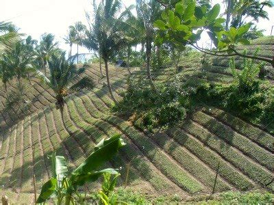 Contour Farming Is the Rule in Sloping Agricultural Lands, Also Makes Farm Operations Possible