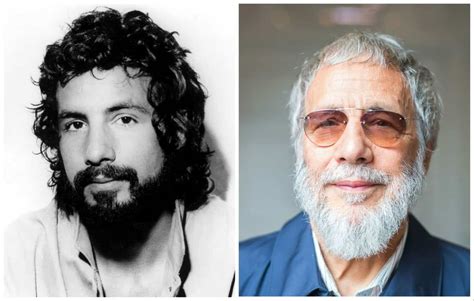 Cat Stevens net worth, age, real name, wife, songs, albums, biography ...