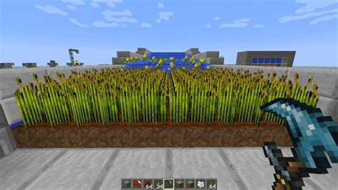 Minecraft Wheat Farm Tutorial - Your Average Wheat Farm With A Twist ...