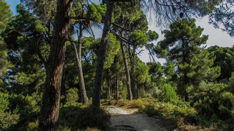 Hiking in Skiathos, Greece - Things to Do - Holidify