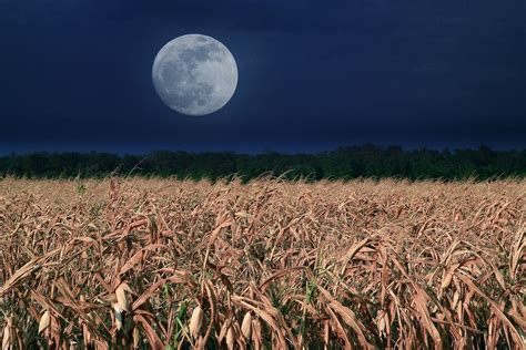 The full September harvest moon will be shining on Friday the 13th, but not in every time zone ...