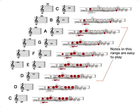 How To Learn Play A Flute - Informationwave17