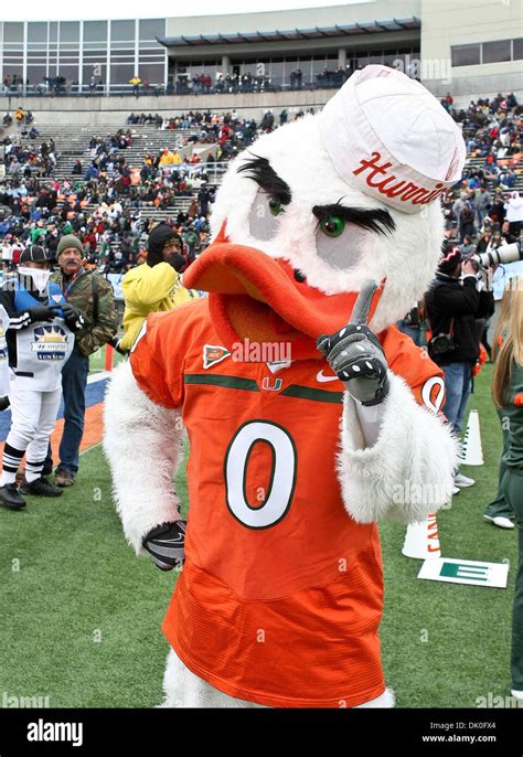 Dec. 31, 2010 - El Paso, Texas, U.S - The Miami Hurricanes mascot gives ...