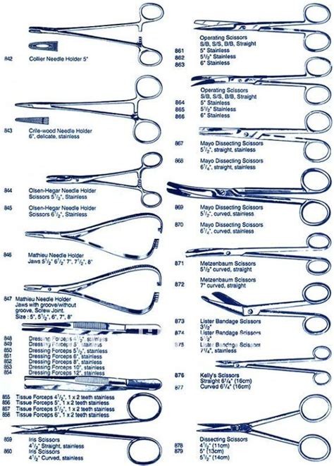 Vet tech school, Vet medicine, Surgical technologist student