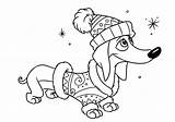 Dachshund dog Coloring Pages To Download And Print For Free sketch template