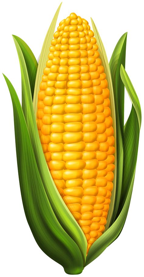 Corn - Printable Templates Free