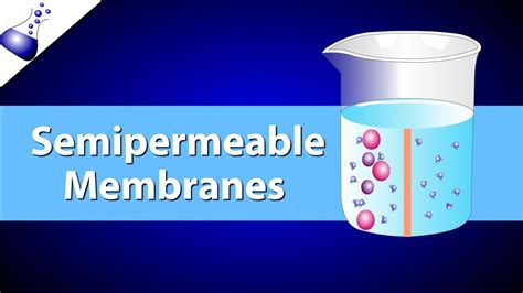 The Semipermeable Membrane - YouTube