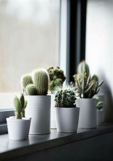 30 Best Creative Cactus Decorations to Beautify Your Home | Cactus ...