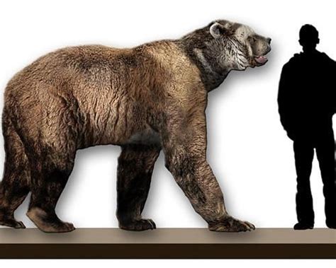 Worlds Largest Animals On The Earth | Short faced bear, Big animals ...