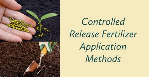 Controlled Release Fertilizer Application Methods in Plant Nurseries & Greenhouses