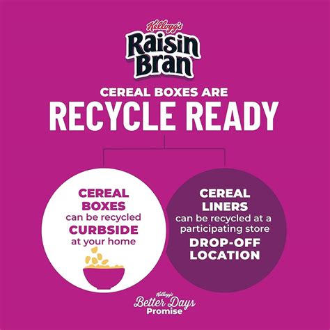 Kellogg's Raisin Bran Breakfast Cereal, High Fiber Cereal, Made with ...