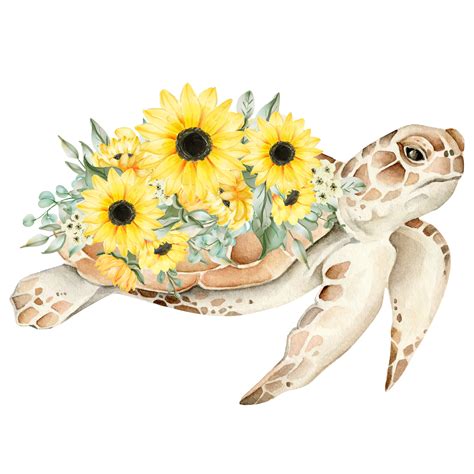 Watercolor Sea Turtle PNG with Sunflowers, Cute Sea Turtle Floral ...