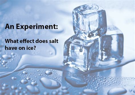 Experiment: What effect does salt have on ice? - Studyladder Interactive Learning Games