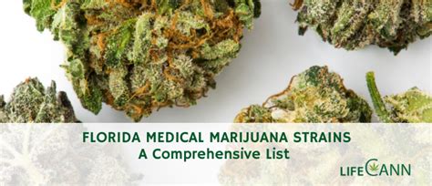 Florida Medical Marijuana Strains - A Comprehensive List