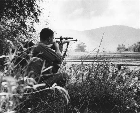 Most Decorated Sniper In Vietnam War | Billingsblessingbags.org