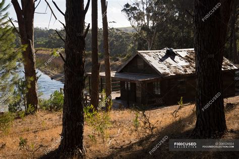 Log cabin near lakeside in forest on a sunny day — tree trunk, scenic ...