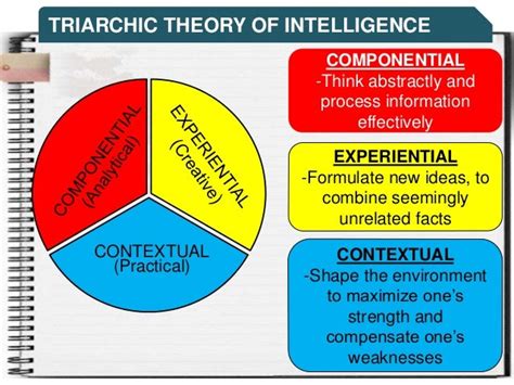 THEORY OF MULTIPLE INTELLIGENCE