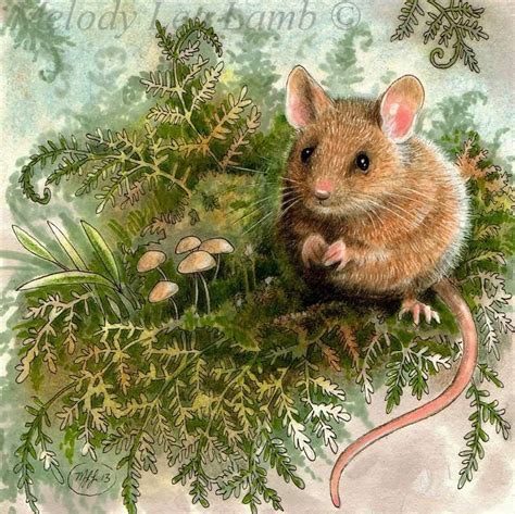 "Field Mouse 2013" is a 5 x 5" colored pencil, India ink and some white acrylic on heavy ...