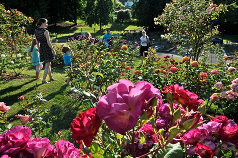 The Best Botanical Gardens Near Seattle | Seattle Met