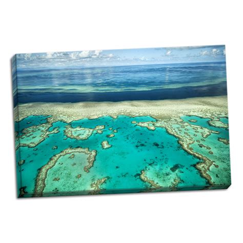 Gango Home Decor Coral River II by Larry Malvin (Ready to Hang); One 36x24in Hand-Stretched ...