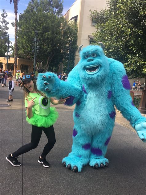 The Best Ideas for Sully Monsters Inc Costume Diy - Home Inspiration ...