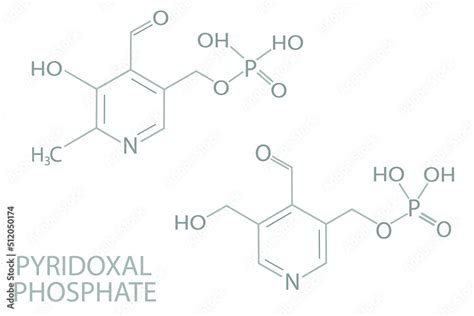 Pyridoxal phosphate molecular skeletal chemical formula. Stock Vector | Adobe Stock