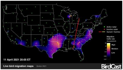 BirdCast Bird Migration Forecast and Live Maps - Megan Betcher