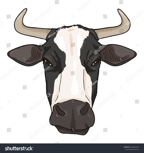 Cartoon Cow Head Vector Cattle Illustration 스톡 벡터(로열티 프리) 1640520565 | Shutterstock