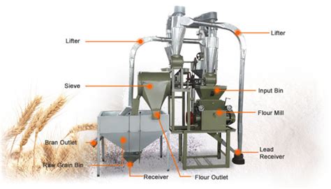 How does a flour mill process line produce flour?