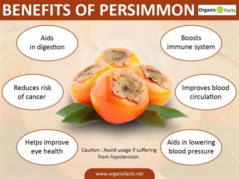 Benefits of Persimmon | Nikki Kuban Minton