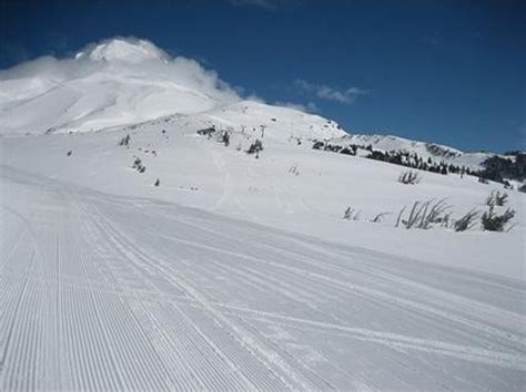 Mt Hood Meadows • Ski Holiday • Reviews • Skiing