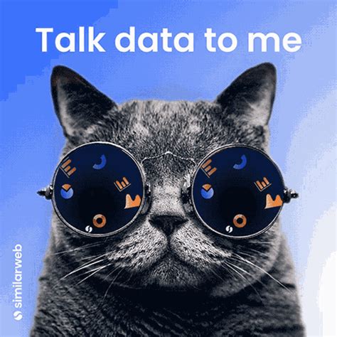 Similarweb Data GIF - Similarweb Data Data Nerds - Discover & Share GIFs