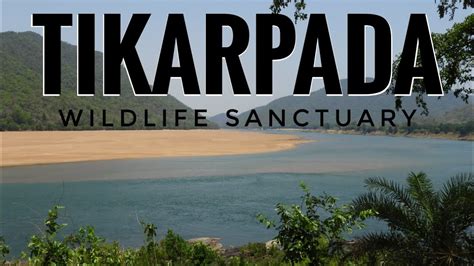 Tikarpada Wildlife Sanctuary || Angul, Odisha || Life Through The Lens ...