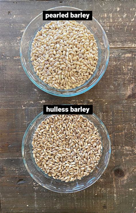 Hulless Barley Vs Hulled Nutrition | Besto Blog