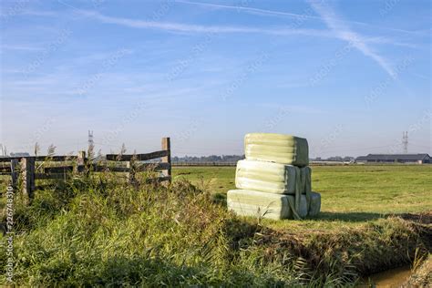 Six bales of hay, silage bales, wrapped in light green plastic stacked in a landscape in a ...