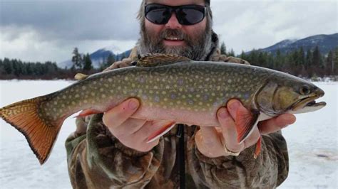 Best Brook Trout Ice Fishing in British Columbia Canada